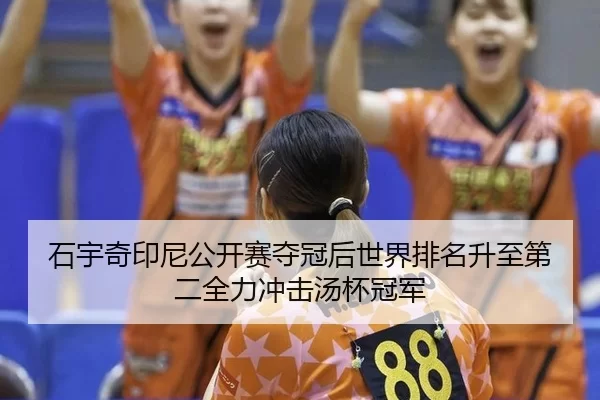 shi-yu-qi-yin-ni-gong-kai-sai-duo-guan-hou-shi-jie-pai-ming-sheng-zhi-di-er-quan-li-chong-ji-tang-bei-guan-jun-2-428.jpg
