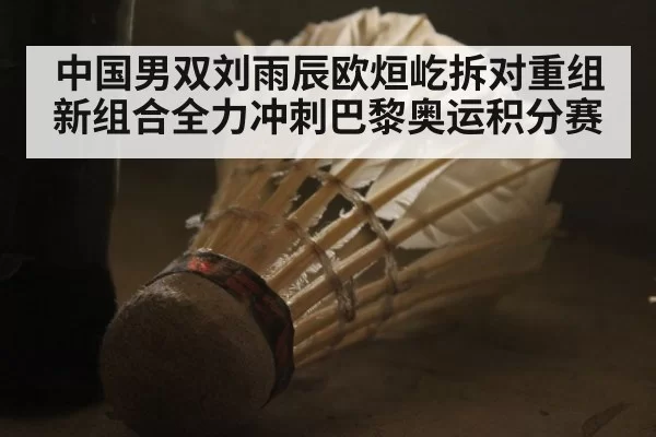 中国男双刘雨辰欧烜屹拆对重组 新组合全力冲刺巴黎奥运积分赛