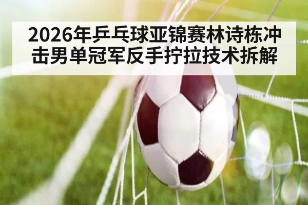 2026年乒乓球亚锦赛林诗栋冲击男单冠军反手拧拉技术拆解